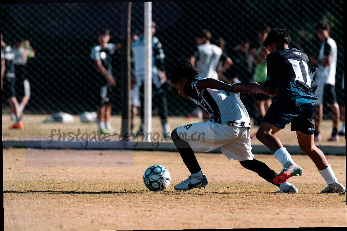 四个象限区块组成的教程索引示意图，用线性图标区分账号、导出、大屏与设备
